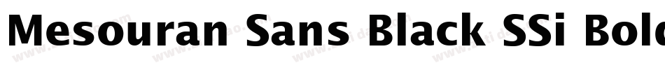 Mesouran Sans Black SSi Bold字体转换